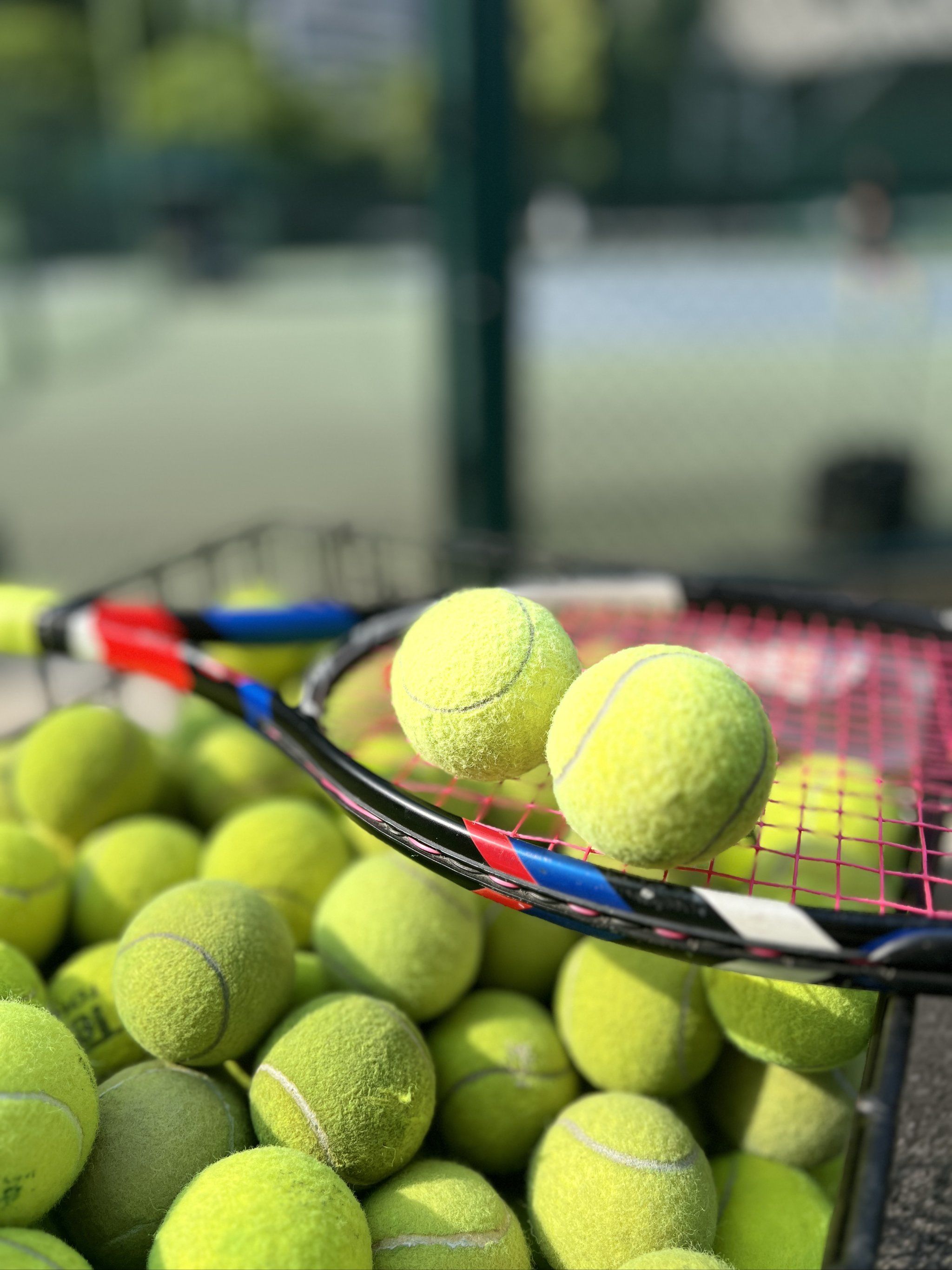 这支队伍以 这支队伍以